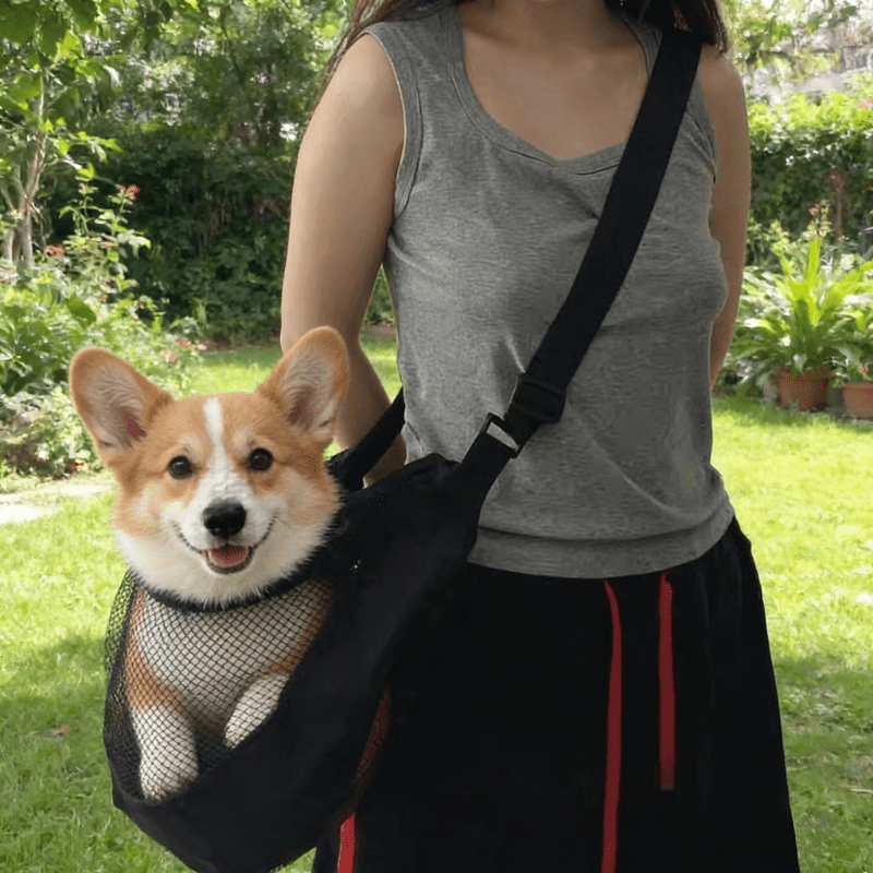 Travel Accessories Dog - Trasportino per Cani in Rete Leggera
