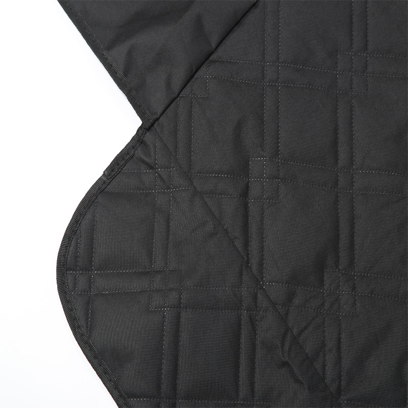 Pet Pad per Tesla Model 3 Y Co - Travel Accessories Dog recensione e prezzo