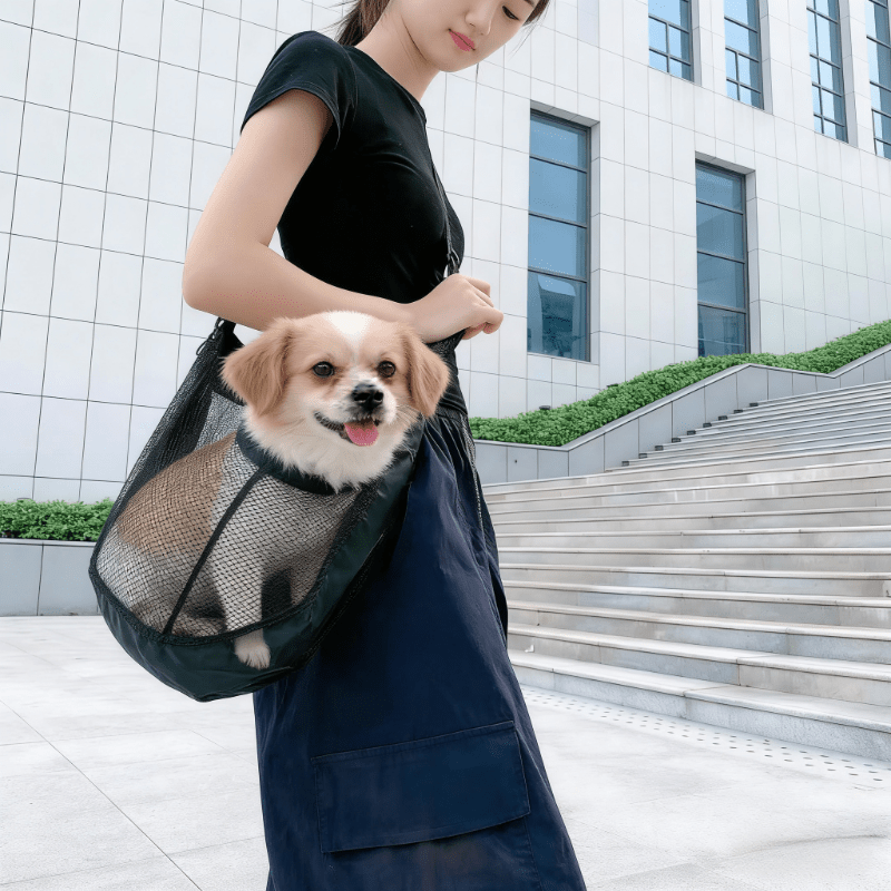 Trasportino per Cani in Rete L - Travel Accessories Dog recensione e prezzo
