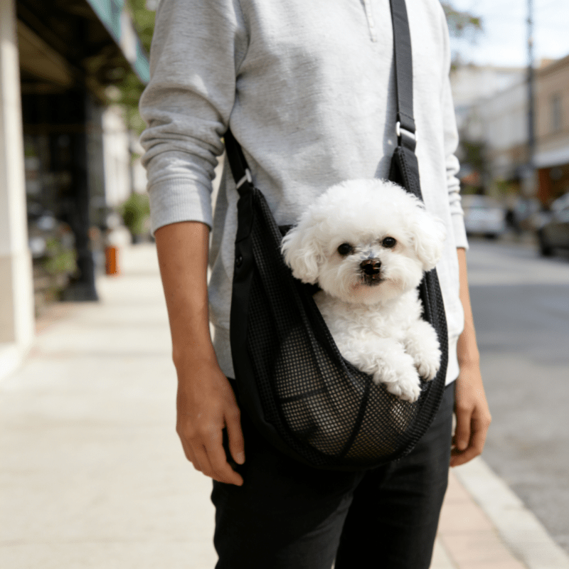Trasportino per Cani in Rete L - Travel Accessories Dog recensione e prezzo