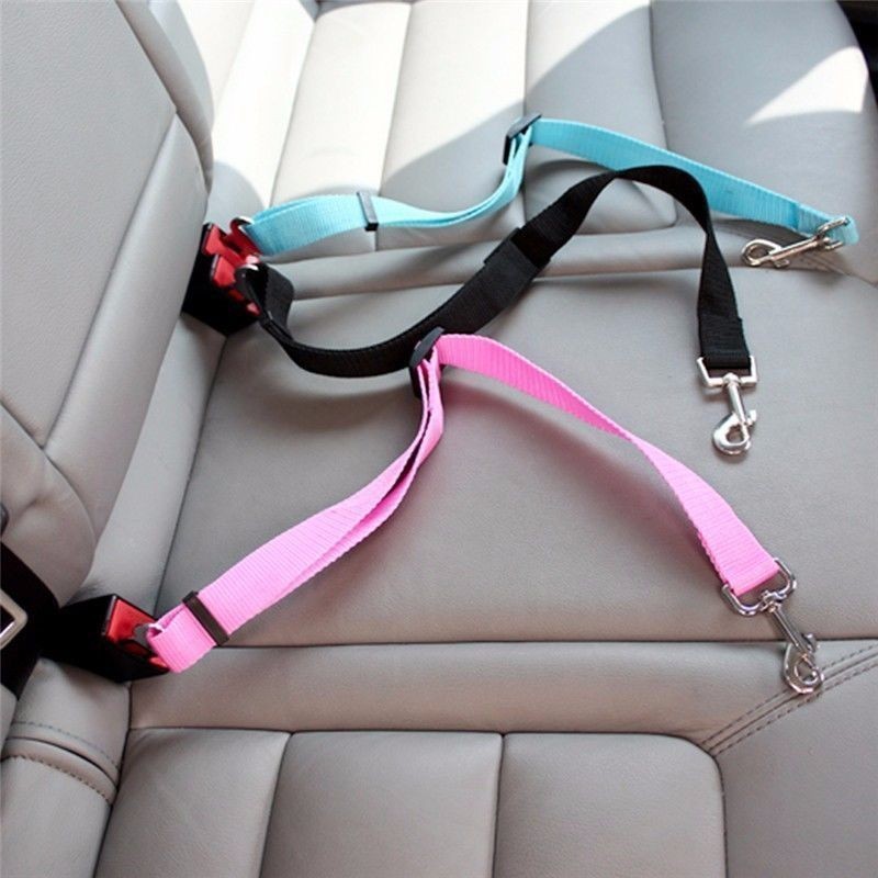 Cintura di Sicurezza per Auto  - Travel Accessories Dog recensione e prezzo